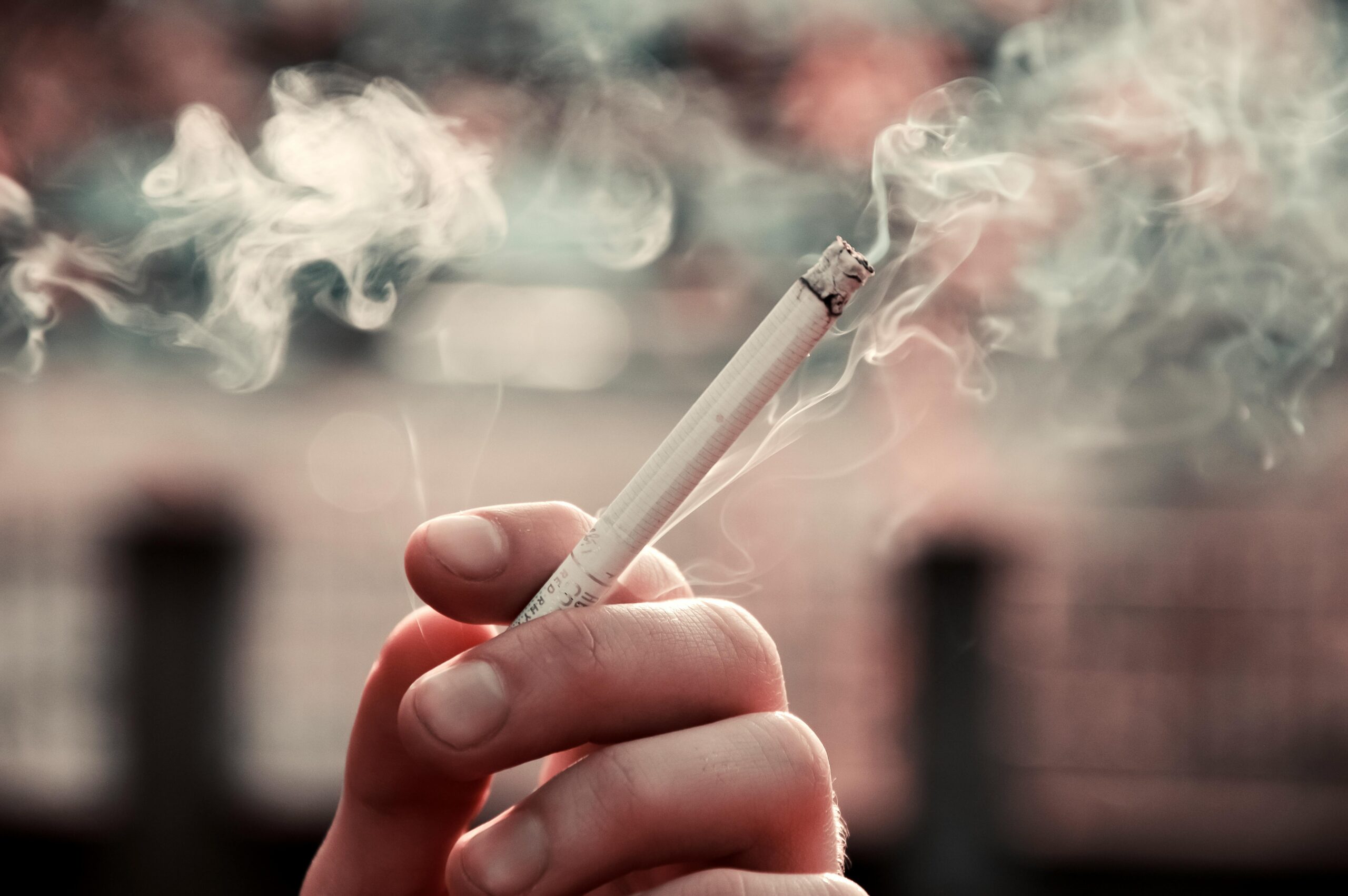 tabaco purificador de aire